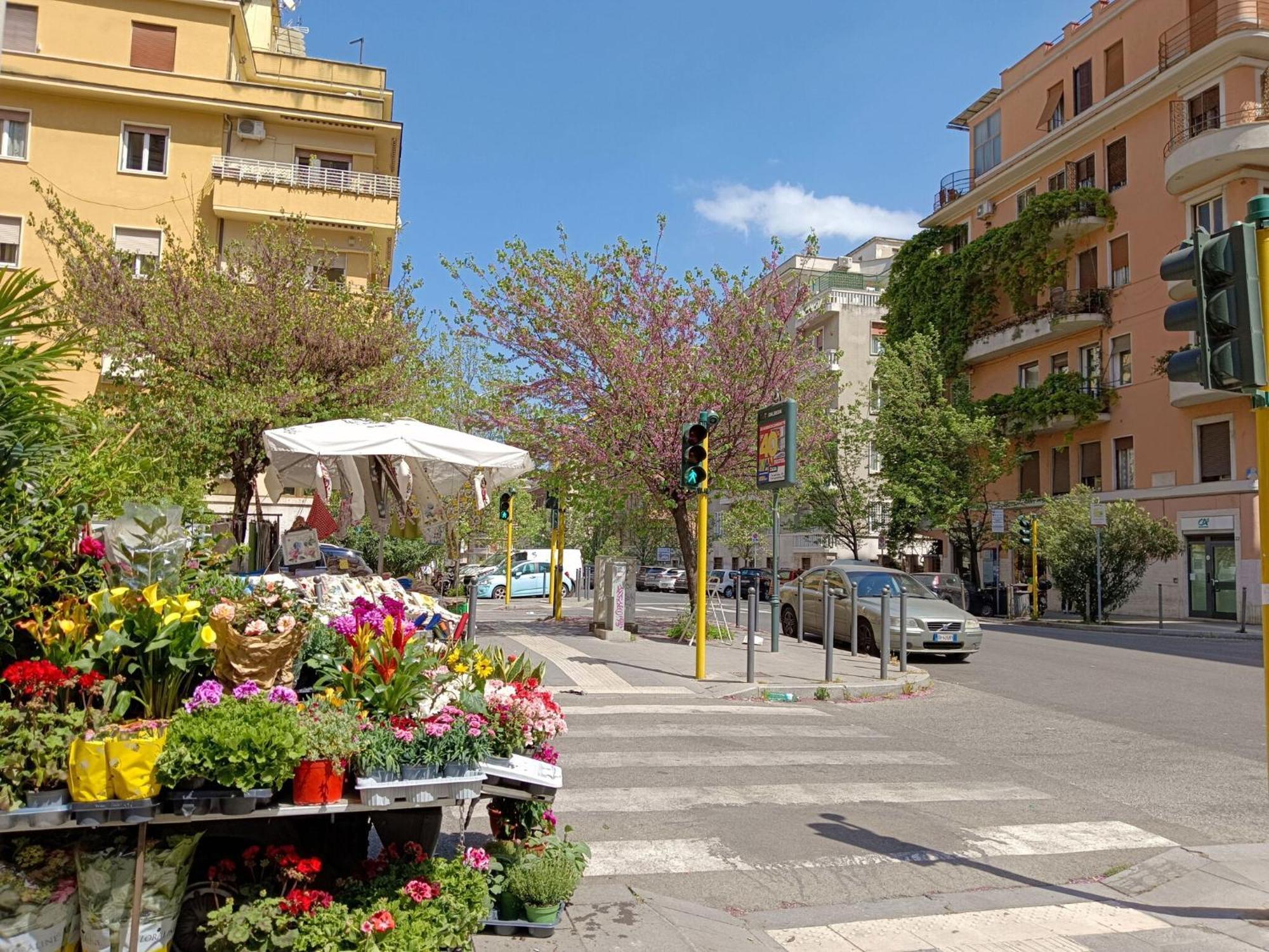 Livorno By Halldis Rom